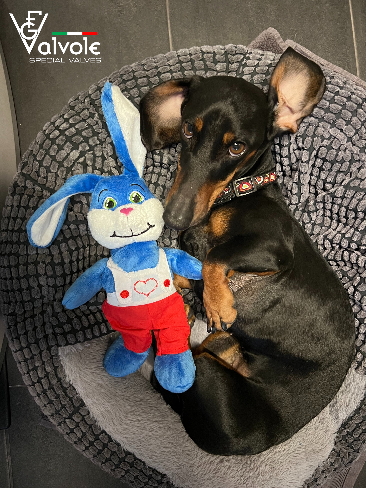 Happy Easter!